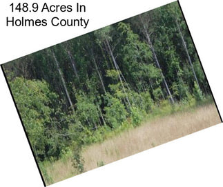 148.9 Acres In Holmes County