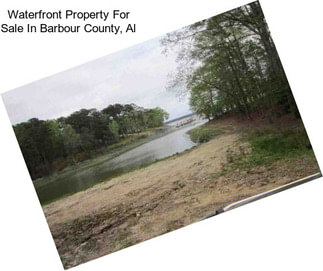 Waterfront Property For Sale In Barbour County, Al