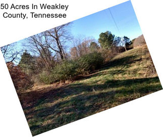 50 Acres In Weakley County, Tennessee