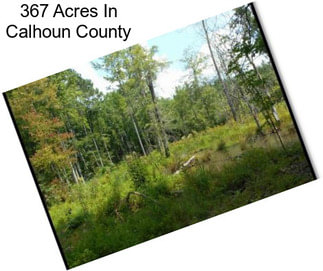 367 Acres In Calhoun County