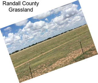 Randall County Grassland