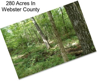 280 Acres In Webster County