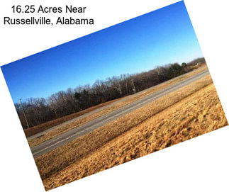 16.25 Acres Near Russellville, Alabama