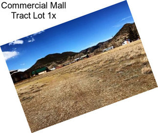 Commercial Mall Tract Lot 1x