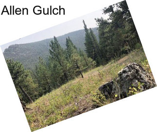 Allen Gulch