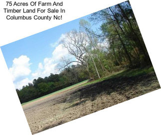 75 Acres Of Farm And Timber Land For Sale In Columbus County Nc!