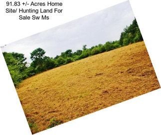 91.83 +/- Acres Home Site/ Hunting Land For Sale Sw Ms