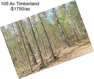 105 Ac Timberland -$1750/ac