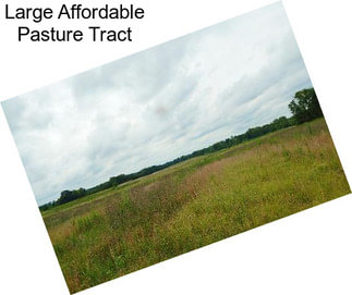 Large Affordable Pasture Tract