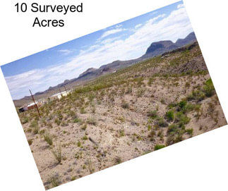 10 Surveyed Acres