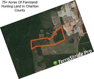 75+ Acres Of Farmland/ Hunting Land In Charlton County