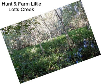 Hunt & Farm Little Lotts Creek