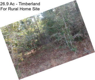 26.9 Ac - Timberland For Rural Home Site