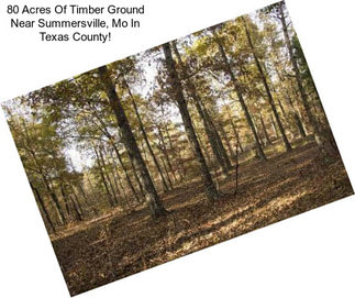 80 Acres Of Timber Ground Near Summersville, Mo In Texas County!