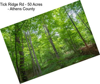 Tick Ridge Rd - 50 Acres - Athens County
