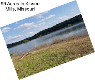 99 Acres In Kissee Mills, Missouri