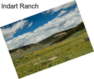 Indart Ranch