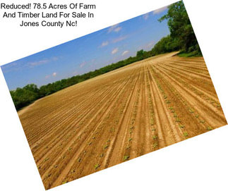 Reduced! 78.5 Acres Of Farm And Timber Land For Sale In Jones County Nc!