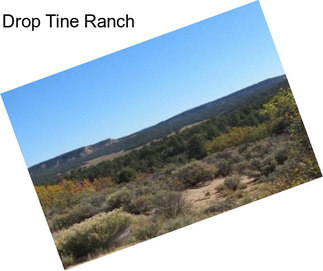 Drop Tine Ranch