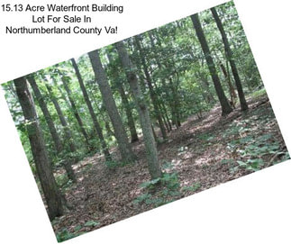 15.13 Acre Waterfront Building Lot For Sale In Northumberland County Va!