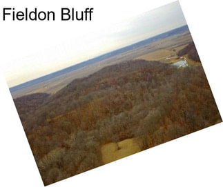 Fieldon Bluff
