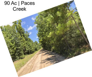 90 Ac | Paces Creek