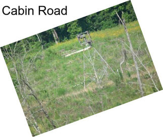 Cabin Road