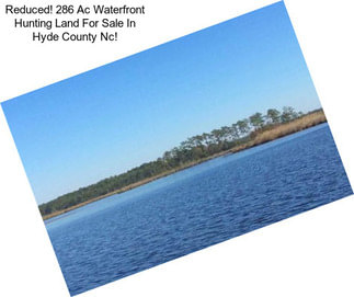 Reduced! 286 Ac Waterfront Hunting Land For Sale In Hyde County Nc!