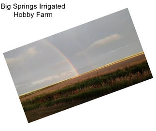 Big Springs Irrigated Hobby Farm