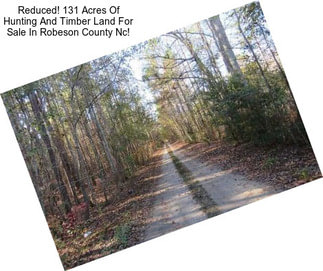 Reduced! 131 Acres Of Hunting And Timber Land For Sale In Robeson County Nc!
