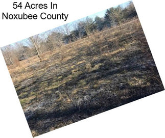 54 Acres In Noxubee County