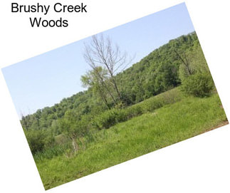 Brushy Creek Woods