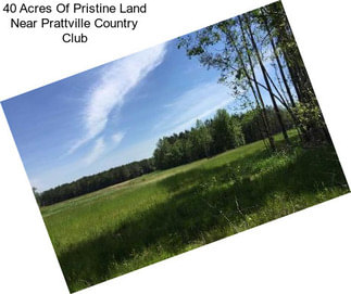 40 Acres Of Pristine Land Near Prattville Country Club