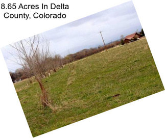 8.65 Acres In Delta County, Colorado