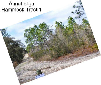 Annutteliga Hammock Tract 1