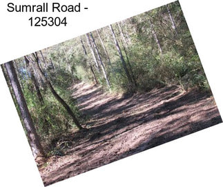 Sumrall Road - 125304