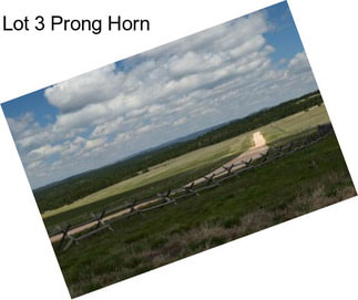 Lot 3 Prong Horn