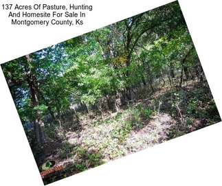 137 Acres Of Pasture, Hunting And Homesite For Sale In Montgomery County, Ks