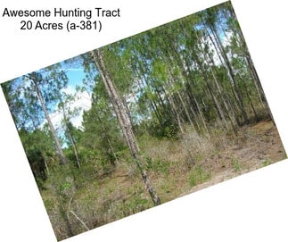 Awesome Hunting Tract 20 Acres (a-381)