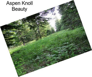 Aspen Knoll Beauty