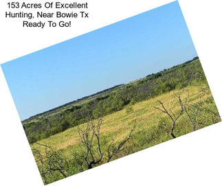 153 Acres Of Excellent Hunting, Near Bowie Tx Ready To Go!