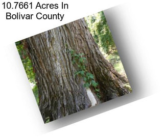 10.7661 Acres In Bolivar County