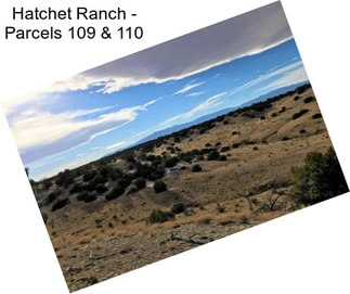 Hatchet Ranch - Parcels 109 & 110