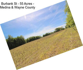 Burbank St - 55 Acres - Medina & Wayne County