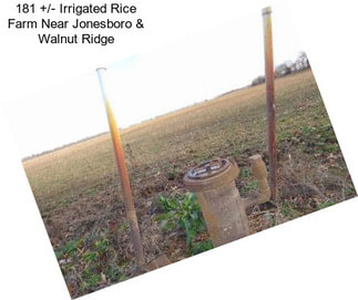 181 +/- Irrigated Rice Farm Near Jonesboro & Walnut Ridge