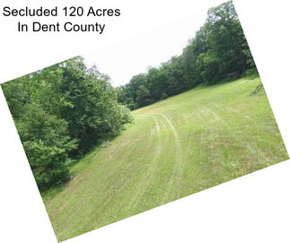 Secluded 120 Acres In Dent County