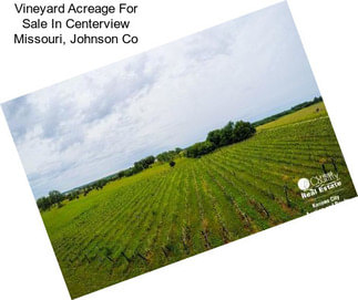 Vineyard Acreage For Sale In Centerview Missouri, Johnson Co