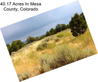 40.17 Acres In Mesa County, Colorado