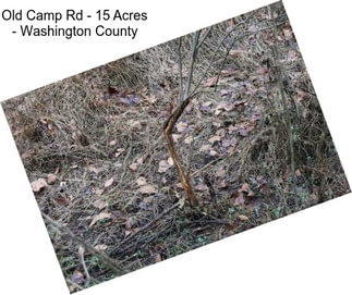 Old Camp Rd - 15 Acres - Washington County