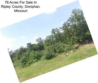 78 Acres For Sale In Ripley County, Doniphan, Missouri